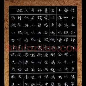 王志文(成人组 优秀奖)硬笔书法大赛 获奖作品图片欣赏