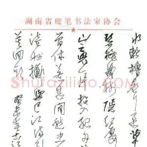 潘锋 硬笔行草作品《古诗》图片欣赏