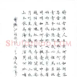 宋维武 硬笔楷书作品《曹操诗短歌行》图片欣赏
