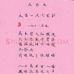 宋维武 硬笔楷书作品《毛泽东词一首》图片欣赏