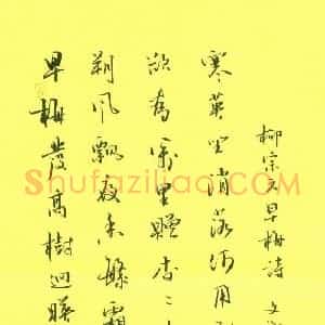 张文海 硬笔行书作品《柳宗元早梅诗》图片欣赏