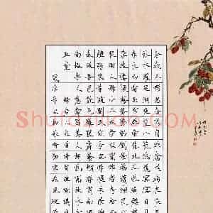 宋维武 硬笔楷书作品《杜甫诗寄韩谏议注一首》图片欣赏