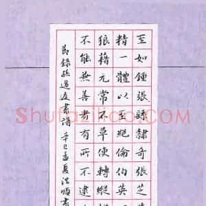 彭洪顺 硬笔楷书作品《节录孙过庭书谱》图片欣赏