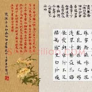 宋维武 硬笔楷书作品《白居易诗钱塘湖春行》图片欣赏