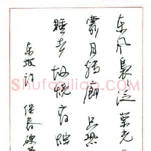 杜继春 硬笔行书作品《东坡诗》图片欣赏