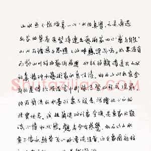硬笔行书作品《摘马龙文》图片欣赏