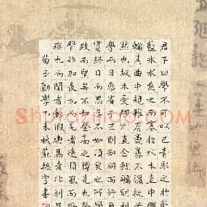 苏振宇 硬笔楷书作品《荀子劝学》图片欣赏
