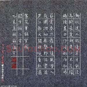 苏振宇 硬笔楷书作品《古诗二首》图片欣赏