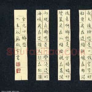 苏振宇 硬笔楷书作品《余光中诗乡愁》图片欣赏