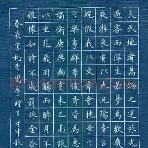 张其永 硬笔楷书作品《李白诗春夜宴桃李园序》图片欣赏