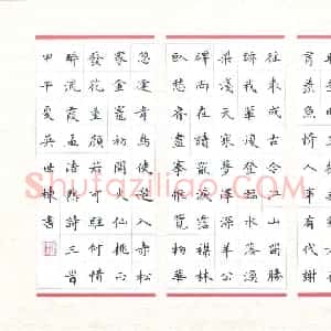 吴世栋(成人组 铜奖)硬笔书法大赛 获奖作品图片欣赏