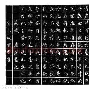 赵贺新 硬笔楷书作品《凌虚台记》图片欣赏