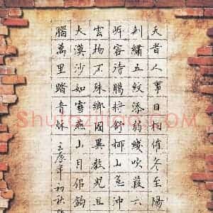 孙利标 硬笔楷书作品《杜甫诗小至》图片欣赏