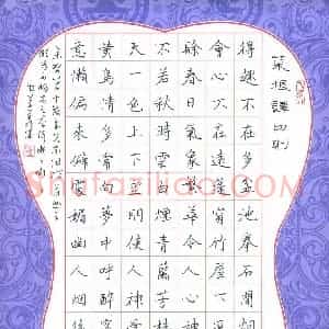 张明涛 硬笔楷书作品《菜根谭四则》图片欣赏