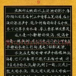 金晨曦(少儿组 11岁 特等奖)硬笔书法大赛 获奖作品图片欣赏