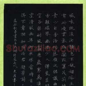 贾光庆 硬笔楷书作品《题画诗三首》图片欣赏
