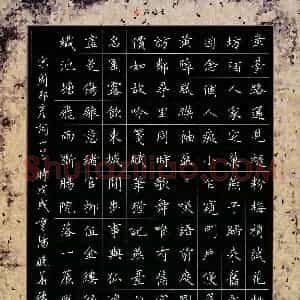 张晓华(成人组 优秀奖)硬笔书法大赛 获奖作品图片欣赏