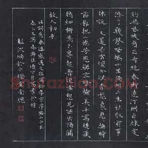 彭洪顺 硬笔楷书作品《姜夔琵琶仙》图片欣赏