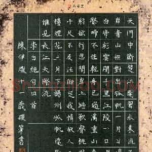 陈伊灿(少儿组 11岁 特等奖)硬笔书法大赛 获奖作品图片欣赏