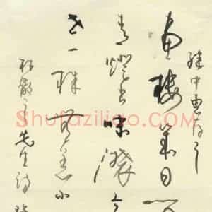 牟希贵 硬笔行草作品《林散之诗》图片欣赏