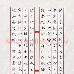 林宛烨(少儿组 13岁 特等奖)硬笔书法大赛 获奖作品图片欣赏