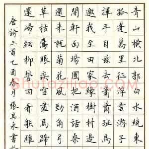 张其永 硬笔楷书作品《唐诗二首》图片欣赏
