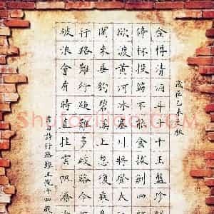 王悦(少儿组 14岁 特等奖)硬笔书法大赛 获奖作品图片欣赏