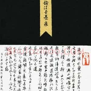 王泵(成人组 特等奖)硬笔书法大赛 获奖作品图片欣赏