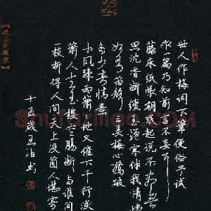 王泊(少儿组 15岁 特等奖)硬笔书法大赛 获奖作品图片欣赏