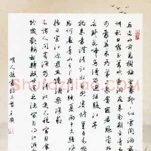 王硕(成人组 特等奖)硬笔书法大赛 获奖作品图片欣赏