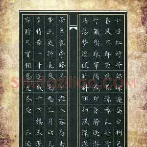 王海伦(少儿组 16岁 特等奖)硬笔书法大赛 获奖作品图片欣赏
