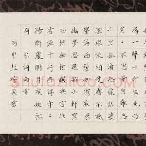 彭杨奕(少儿组 17岁 特等奖)硬笔书法大赛 获奖作品图片欣赏