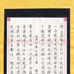 陈鸿 硬笔楷书作品《杜甫咏怀古迹二首》图片欣赏