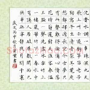 黄啸(成人组)硬笔书法大赛 入围作品选登图片欣赏