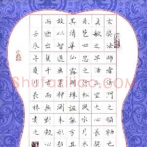 朱长林 硬笔楷书作品《圣教序选抄》图片欣赏