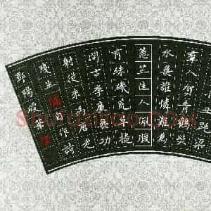 邓阳(成人组)硬笔书法大赛 入围作品选登图片欣赏