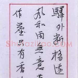 孙逢宾 硬笔行书作品《陆游词一首》图片欣赏