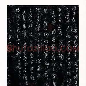 徐秀康(成人组 银奖)硬笔书法大赛 获奖作品图片欣赏