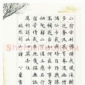 丁兰(成人组 铜奖)硬笔书法大赛 获奖作品图片欣赏