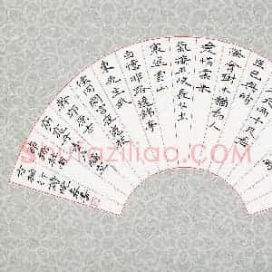 赵晓春(成人组)硬笔书法大赛 入围作品选登图片欣赏