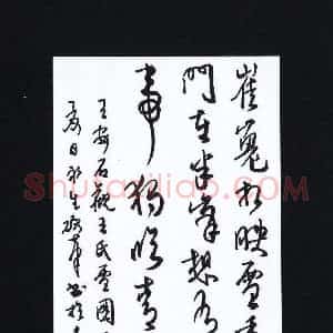 陈永生 硬笔行草作品《王安石诗一首》图片欣赏