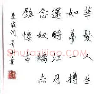张青山 硬笔魏碑作品《苏轼词一首》图片欣赏