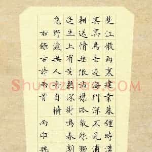 魏运(成人组)硬笔书法大赛 入围作品选登图片欣赏