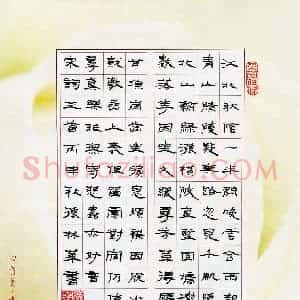 张林华(成人组)硬笔书法大赛 入围作品选登图片欣赏