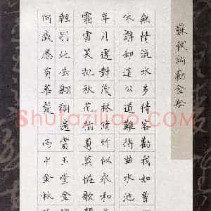 张斌(成人组)硬笔书法大赛 入围作品选登图片欣赏
