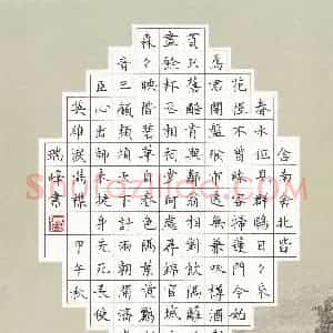 卢瑞峰 硬笔楷书作品《杜甫诗二首》图片欣赏