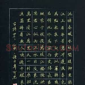 韦可忠(成人组)硬笔书法大赛 入围作品选登图片欣赏