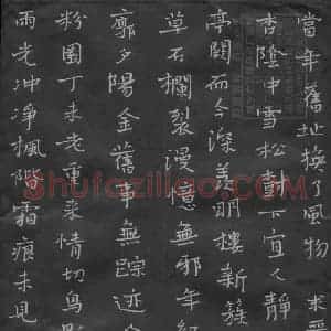 陈泽忠 硬笔楷书作品《雨光冲净》图片欣赏