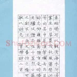 常道淮 硬笔楷书作品《曹操诗二首》图片欣赏