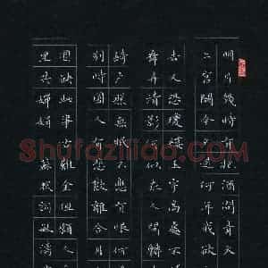 万敏涛(成人组)硬笔书法大赛 入围作品选登图片欣赏